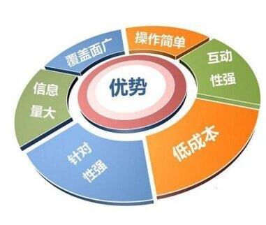 如何做网络营销中国企业网络营销参考文献