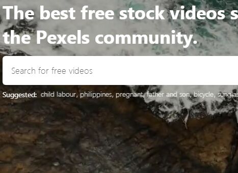 Pexels免费商用短视频素材平台