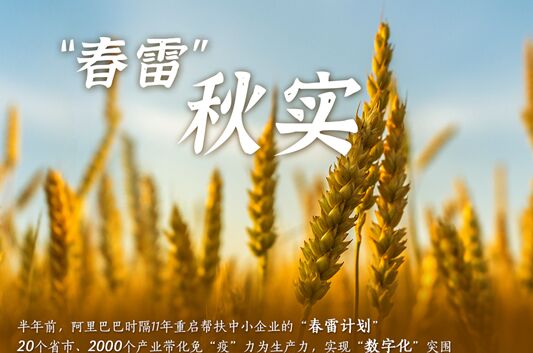 阿里巴巴“春雷计划”半年成绩单：覆盖20个省市、2000个产业带