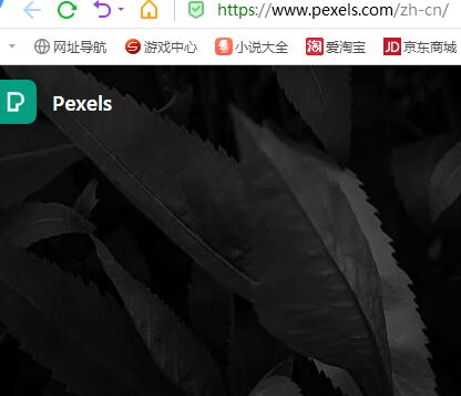 Pexels:免费高品质图片下载网