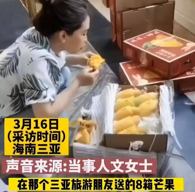 是个狠人！女子一次吃完8箱芒果仅为省下980元托运费